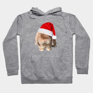 Santa Chris Hoodie